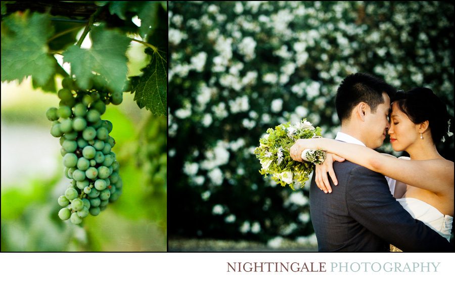 California-Wine-Country-Wedding-Photographer