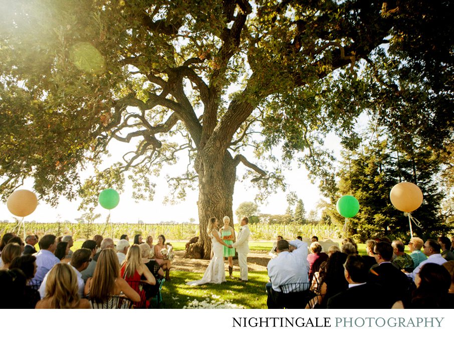 Oak Farm Vineyards Wedding01