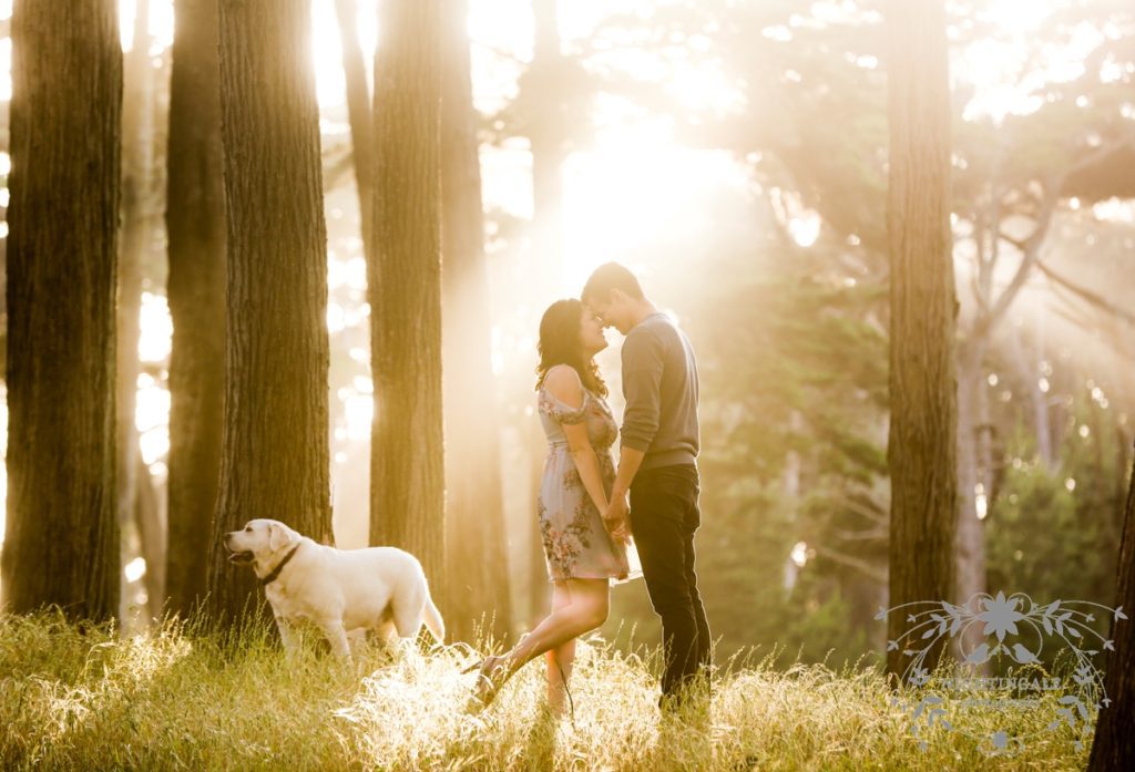 Crissy Field Beach Engagement Session by Nightingale Photography