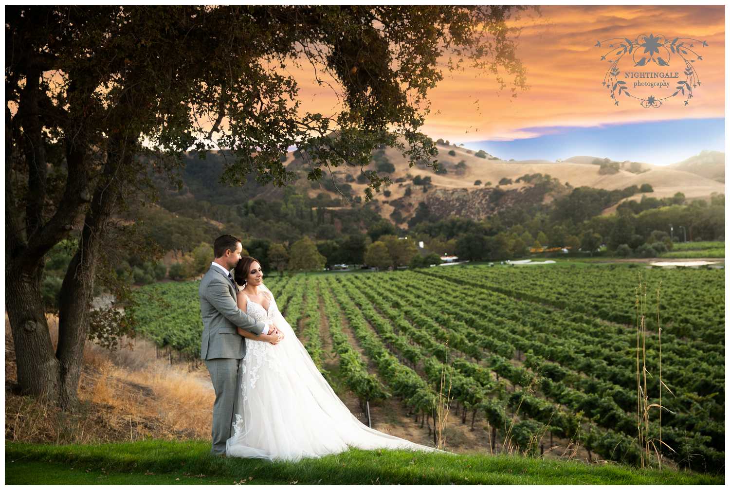 vineyard-wedding