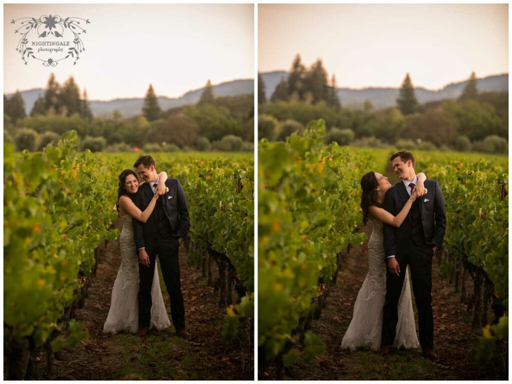 sunset napa wedding portraits in vineyards
