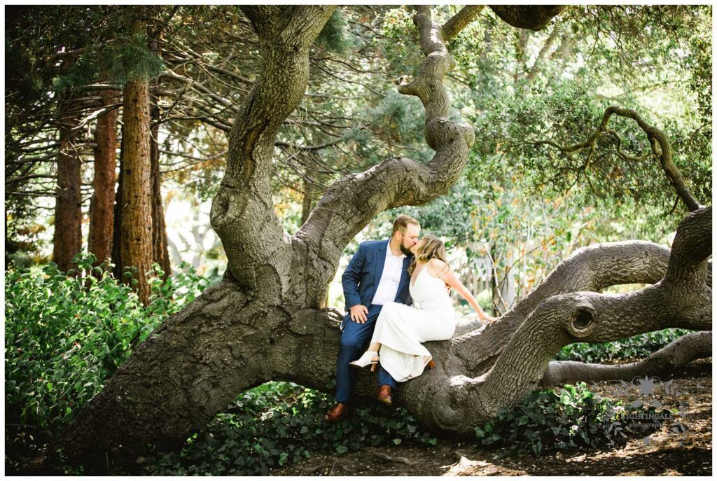 Wedding couple kiss on oak tree in Piedmont, Ca