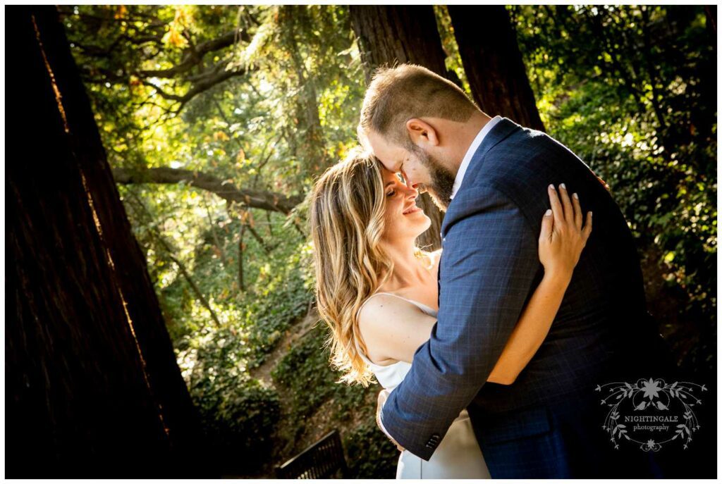 Wedding portraits in the California redwood forest
