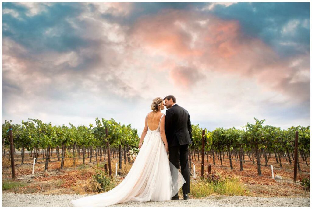 sunset wedding portraits at napa valley winery 