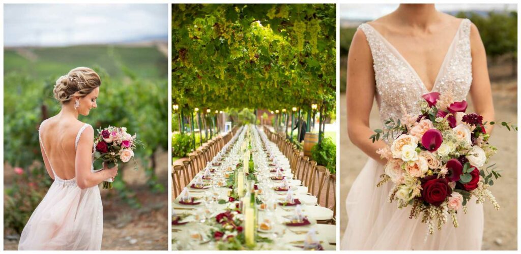 Outdoor wedding reception with grape arbor at Concannon Vineyards 