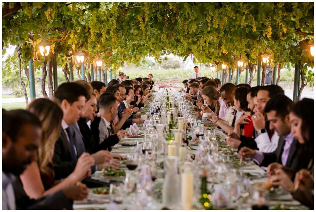 Outdoor wedding reception under grape arbor at winery in California