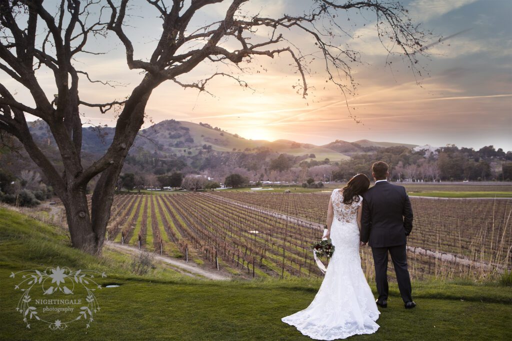 wedding portrait of couple in the vineyards of Napa Valley