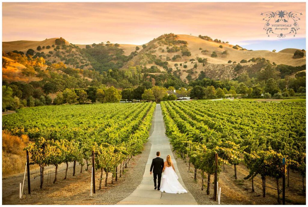 wedding portraits in the vineyards of napa valley
