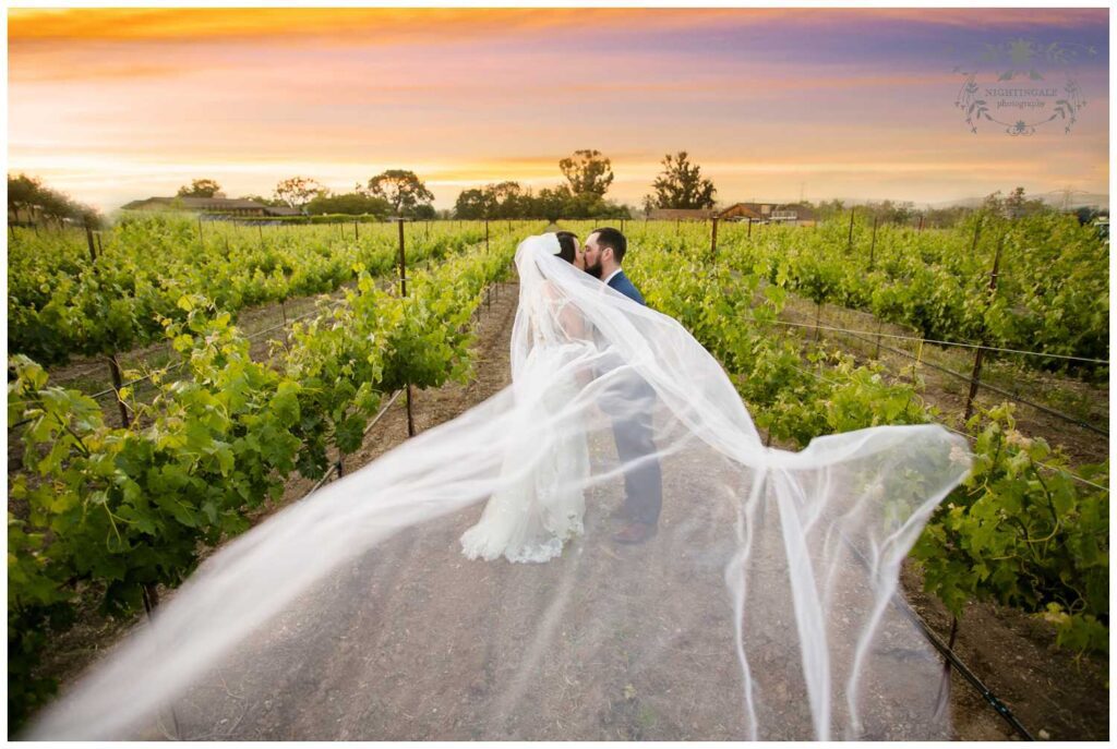 wedding portraits in the vineyards at 
murrietas well in livermore
