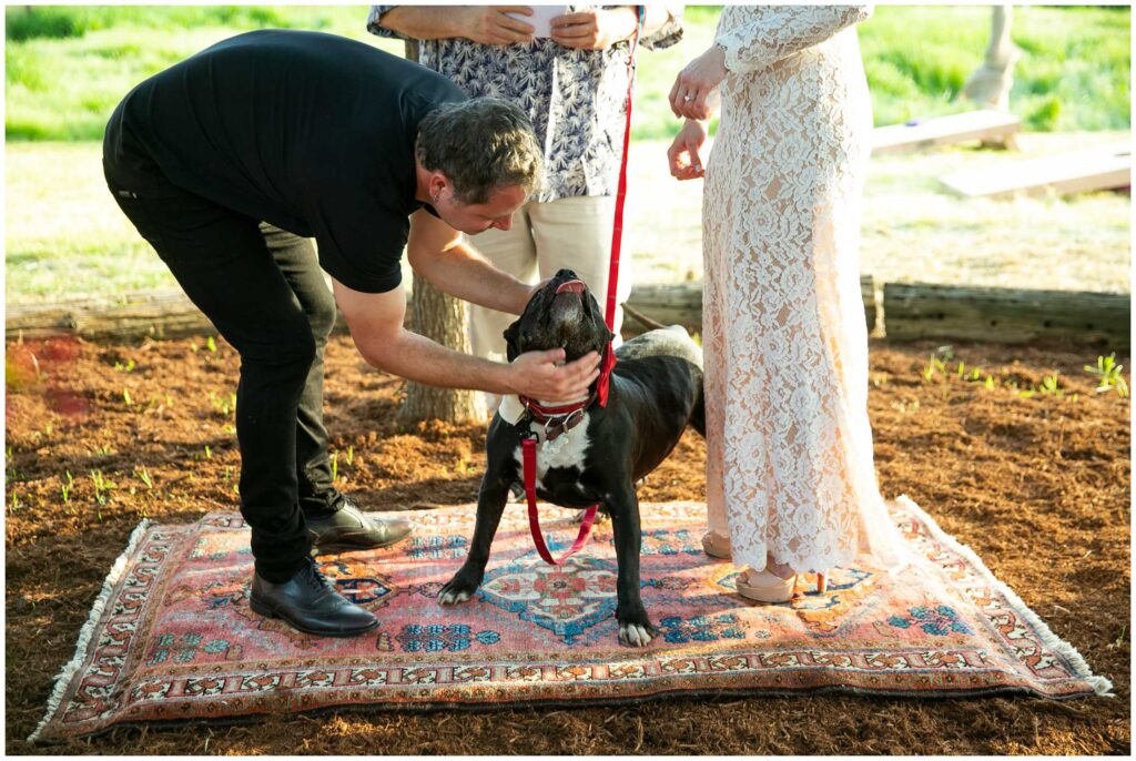 couple pets their dog at thier intimate california wedding