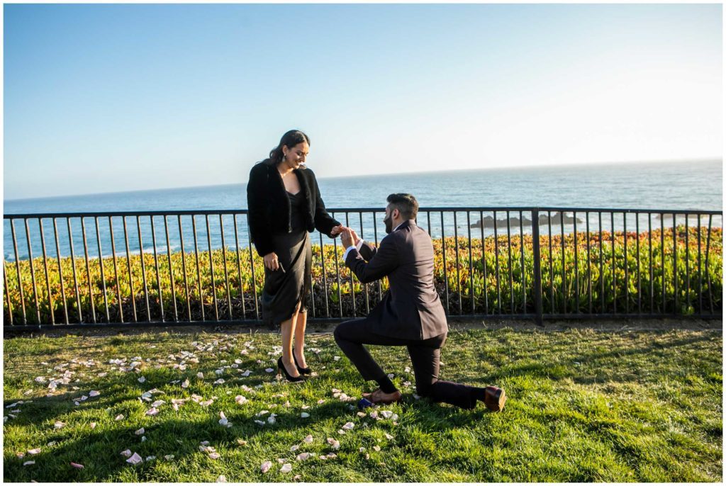 wedding-proposal-ideas-photos-bay-area