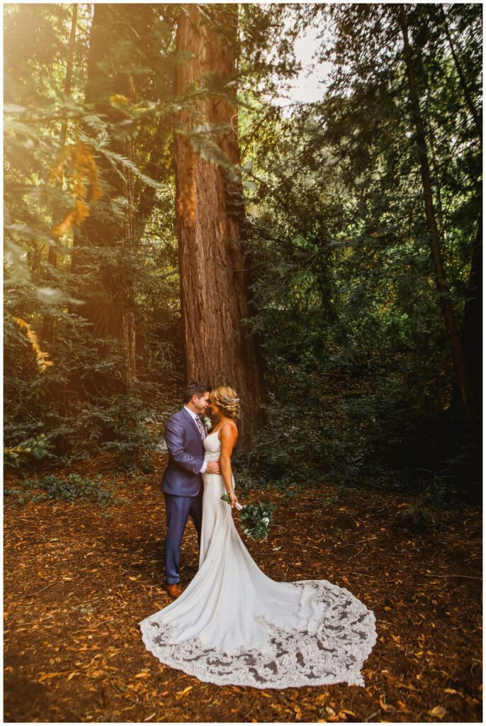 couple stand beneath redwood tree during small santa cruz wedding