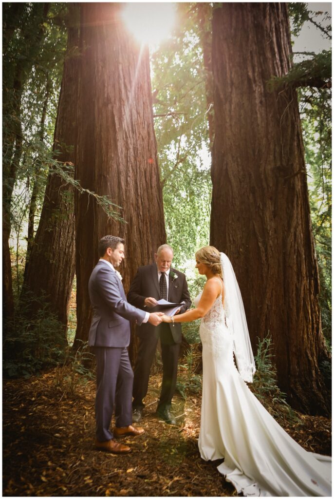 santa cruz redwoods micro wedding