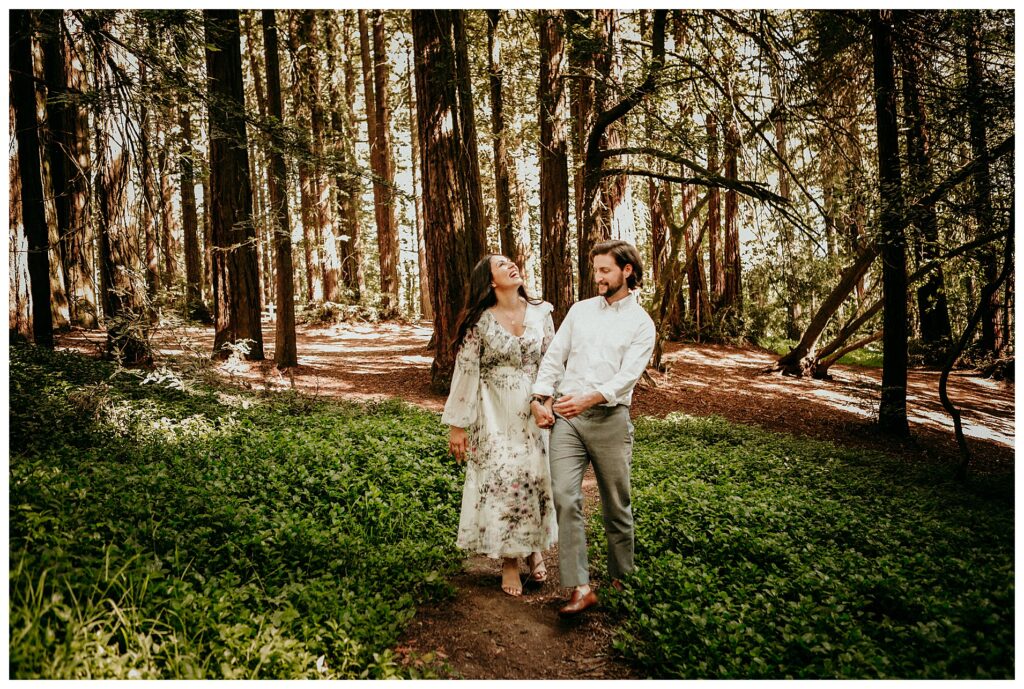 redwoods photo session 