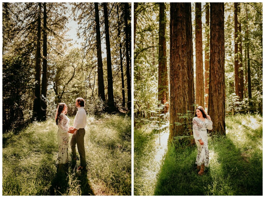 redwoods-engagement-pictures