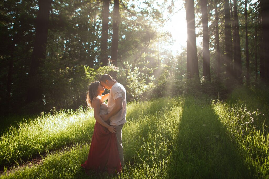 engagement-redwoods-photos